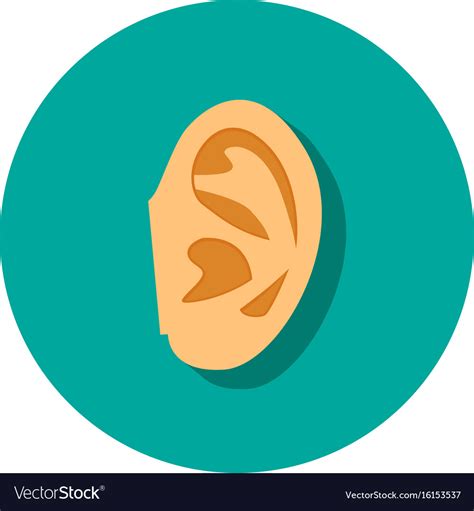 Human Ear Icon With Shadow In Flat Style Vector Image