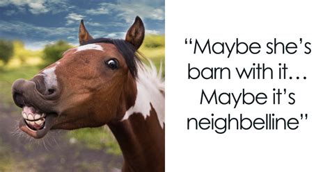 142 Funny Horse Puns That Are Just Oat Standing Smile And Happy
