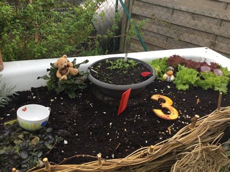 Wenn sie bodendecker pflanzen, können sie lücken zwischen sträuchern und stauden auf ansehnliche weise schließen. Rätsel aus Tines Garten