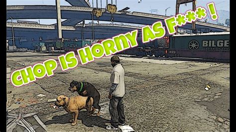 Gta V Pc Grand Theft Auto 5 Gameplay Pc 60fps Chop Is Having A Sex