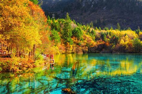 The Five Flower Lake Multicolored Lake Among Fall Woods Stock Photo
