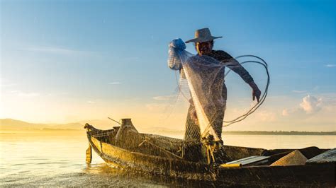 Acuicultura Conoce La Situación De La Pesca En El Perú