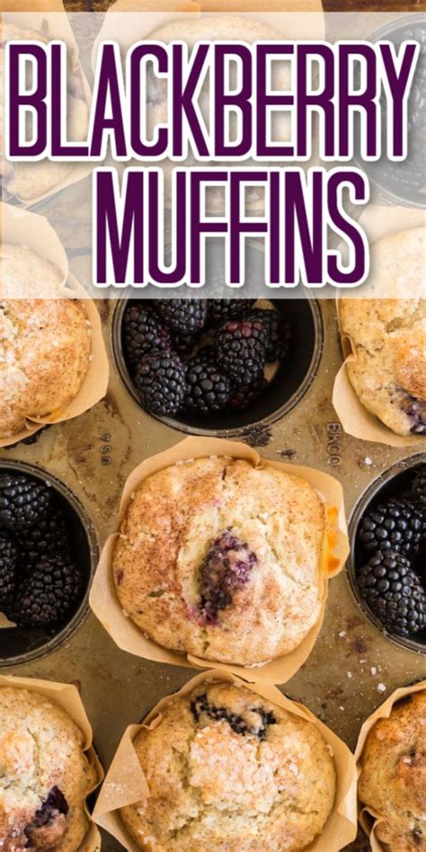 Blackberry Muffins Blackberry Muffin Blackberry Muffins Easy