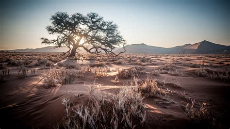 Namibia Wallpapers 4k For Your Phone And Desktop Screen