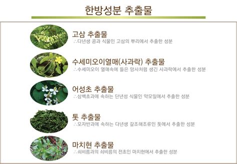 Minoxidil promotes the growth of dermal papilla cells (hair follicles are made up of these cells). KOREA-SPACE: Ecklonia cava shampoo (3) Travel damaged hair ...
