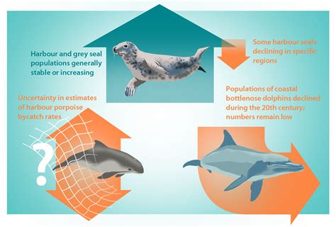 Mixed Signals For Marine Mammals Ospar Oap Prod