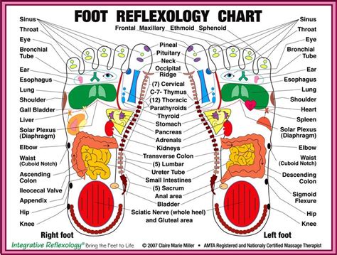 Foot Reflexology Chart Pictures Photos And Images For Facebook