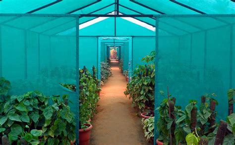 Using Shade Cloth In A Greenhouse Commercial Netmakers
