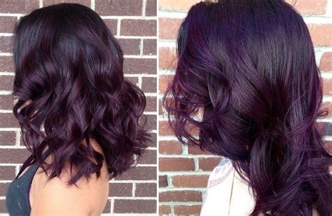 What Happens If You Put Brown Dye On Purple Hair By Beequeen Hair