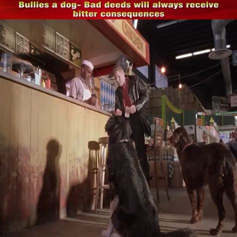 Bullies a dog- Bad deeds will always receive bitter consequences