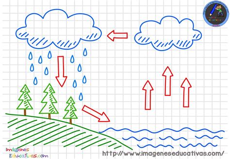 Ciclos Del Agua Para Colorear 2 Imagenes Educativas