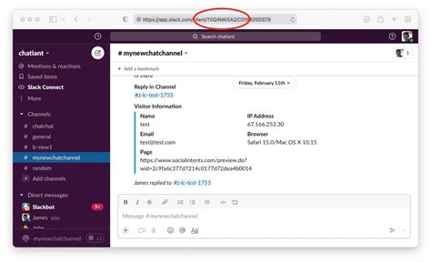 How To Find Your Slack Team Id And Slack Channel Id Social Intents