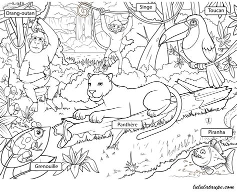 Coloriage Les As De La Jungle À Imprimer / Coloriage Animaux De La