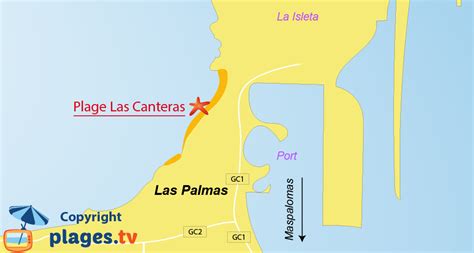 Plage De Las Canteras à Las Palmas De Gran Canaria Grande Canarie Canaries Espagne Avis