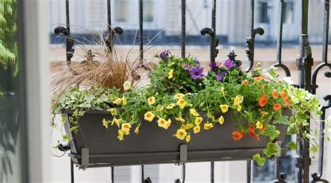 Composer une jardinière de fleurs sur son balcon Côté Maison
