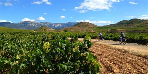 5 Fascinating Facts About The Rioja Wine Region - Zephyr Adventures