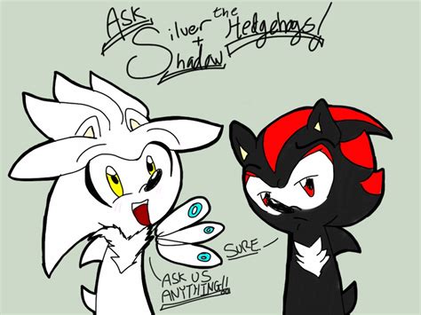 Ask Silver And Shadow The Hedgehogs By Sonicsailorkeyblade On Deviantart