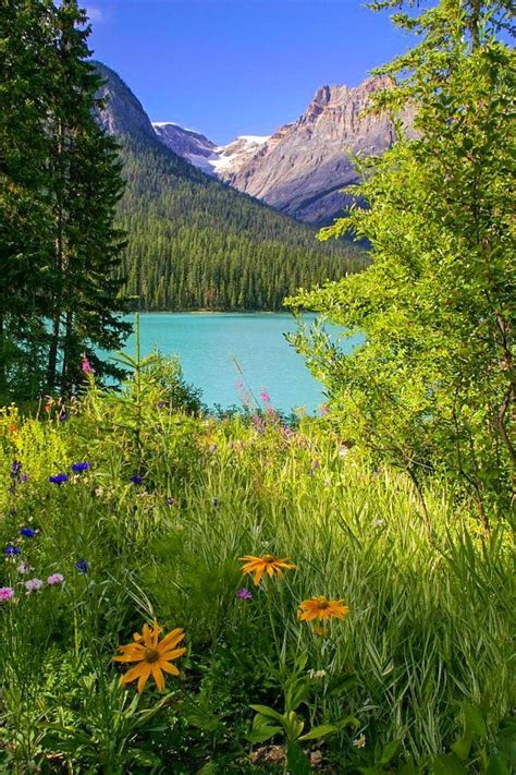 🇨🇦 Emerald Lake Yoho Bc By Carl Main 500px Beautiful Landscape
