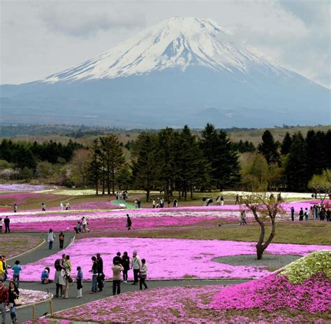 Japan Ein Selfie Auf Dem Mount Fuji Welt