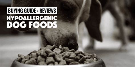 Top 5 Best Hypoallergenic Dog Foods Buying Guide And Reviews