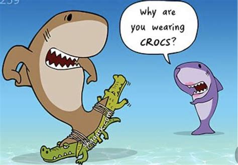 Sharks In 2020 Shark Week Funny Sharks Funny Funny Cartoons