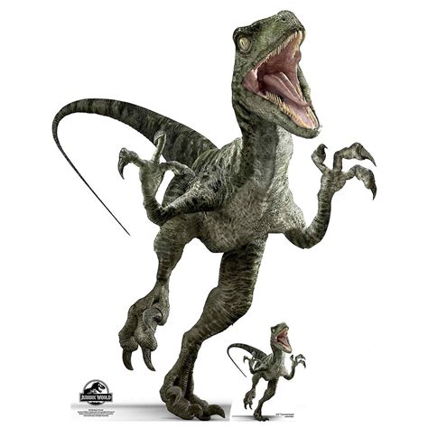 Velociraptor Charlie Official Jurassic World Lifesize Cardboard Cutout Standee Fruugo Fi