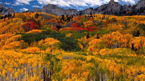 A Colorful Forest In Mountain Autumn Time Wallpaper Download 5120x2880