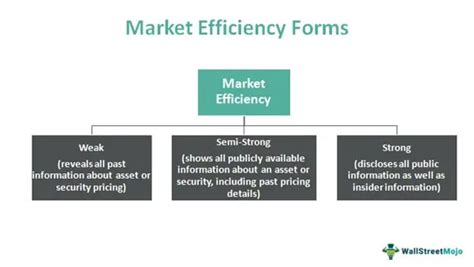 Market Efficiency Definition Examples Theory And Forms
