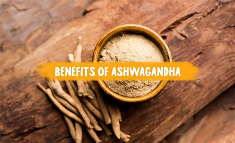 Health Benefits Of Ashwagandha Jmd Medico