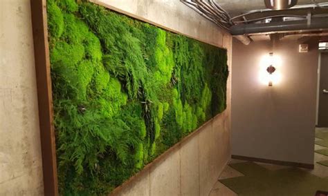 Gallery wrap canvas, framed fine art prints, framed canvas art Moss Walls & Moss Art | Artisan Moss