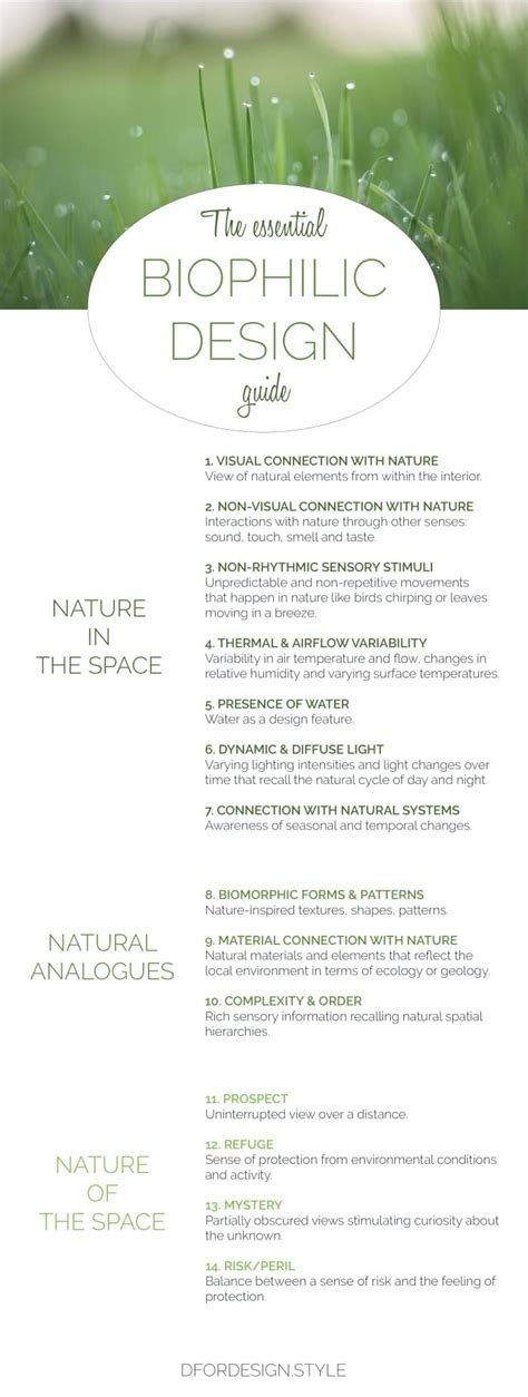 14 Patterns Of Biophilic Design Biophilic Design Infographic