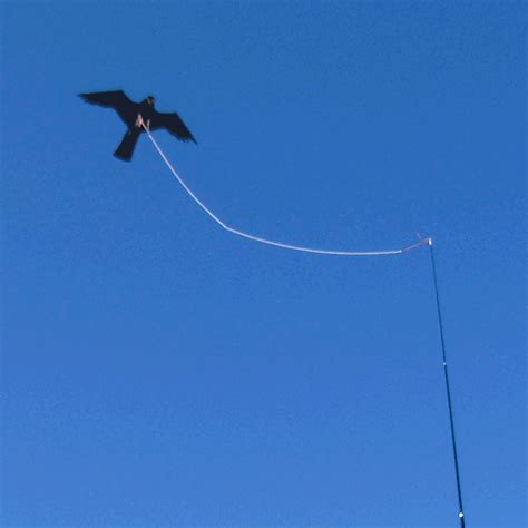 Hawk Kite Bird Scarer Kit by PestFix