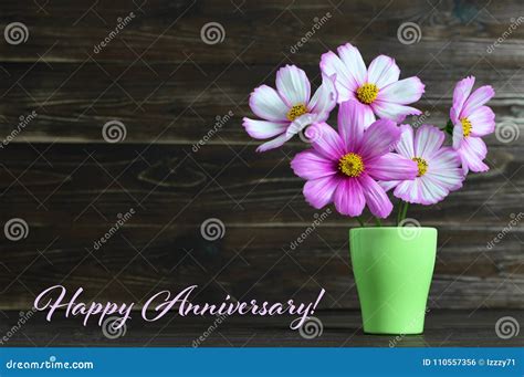 Happy Anniversary Card With Flowers In The Vase Stock Photo Image Of
