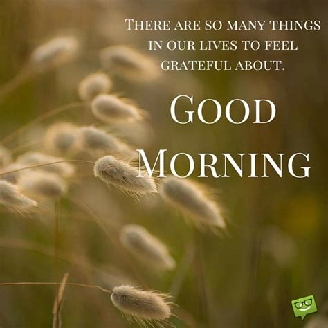 Amazing Good Morning Quotes And Images That Will Inspire You Grateful