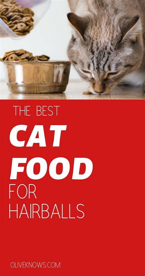 Best cat food for hairballs. The Best Cat Food for Hairballs | OliveKnows | Best cat ...