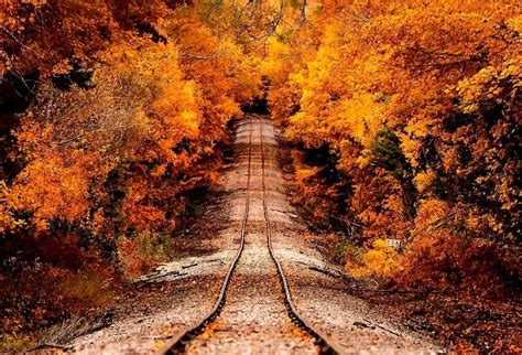 Autumn Train Wallpapers 4k Hd Autumn Train Backgrounds On Wallpaperbat