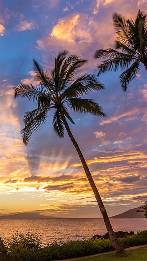 ハワイの夕焼け スマホ壁紙iphone待受画像ギャラリー