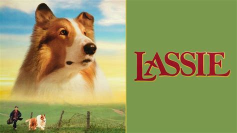Lassie Official Clip Scare Them Sheep Trailers And Videos Rotten Tomatoes