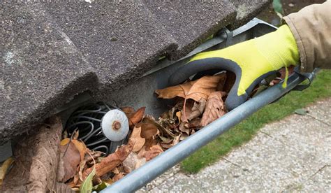 How To Clean Gutters From The Ground Tools To Choose From Backyardgadget