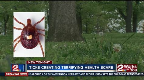 Woman Now Has Meat Allergy After Tick Bite