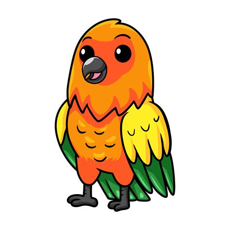 Cute Sun Conure Parrot Cartoon 25370193 Vector Art At Vecteezy