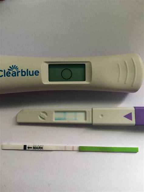 If Pregnant Will An Ovulation Test Be Positive Pregnancy Test