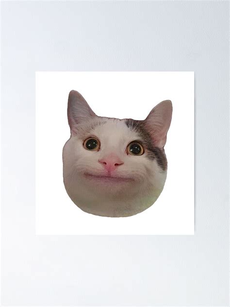 Beluga Cat Meme Ubicaciondepersonascdmxgobmx
