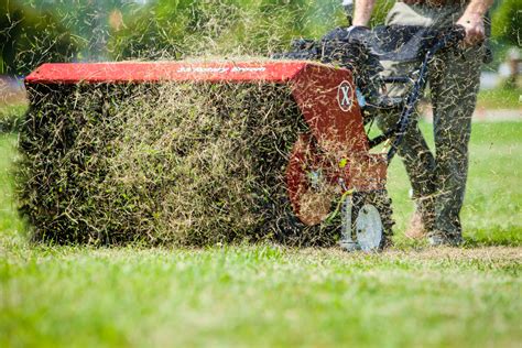 Loosening up and clearing the surface of the ground is best. When to Stop Mowing Your Lawn for the Season | Exmark Blog