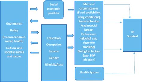 Conceptual Framework For The Social Determinants Of Health And Health