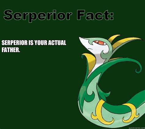 Serperior Is Your Actual Father Serperior Facts Quickmeme