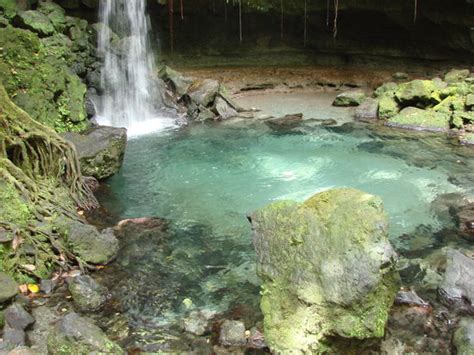 emerald pool nature trail morne trois pitons national park dominica address tickets and tours