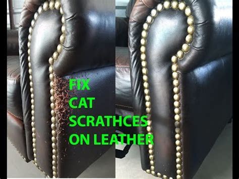 🐺 CAT SCRATCH LEATHER REPAIR EASY AND QUICK!    