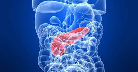 7 Warning Signs Of Pancreatic Cancer Daily Health Post