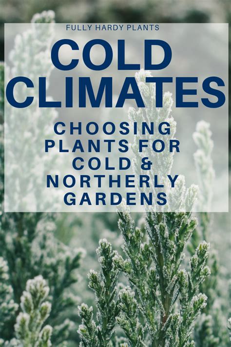 Cold Climate Winter Autumn Hardy Plants Gardening Hardy Plants